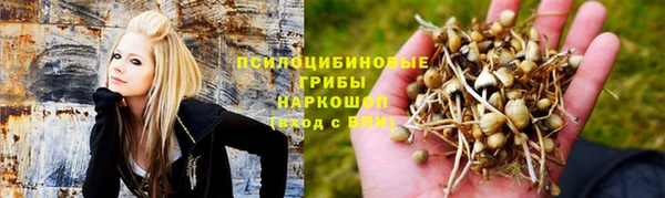 трава Козельск