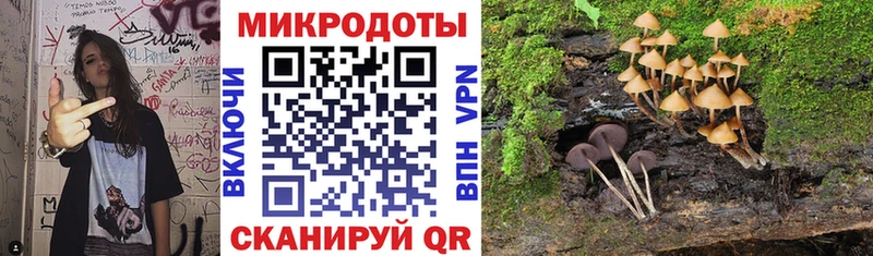 цены   Аркадак  это клад  Галлюциногенные грибы MAGIC MUSHROOMS 
